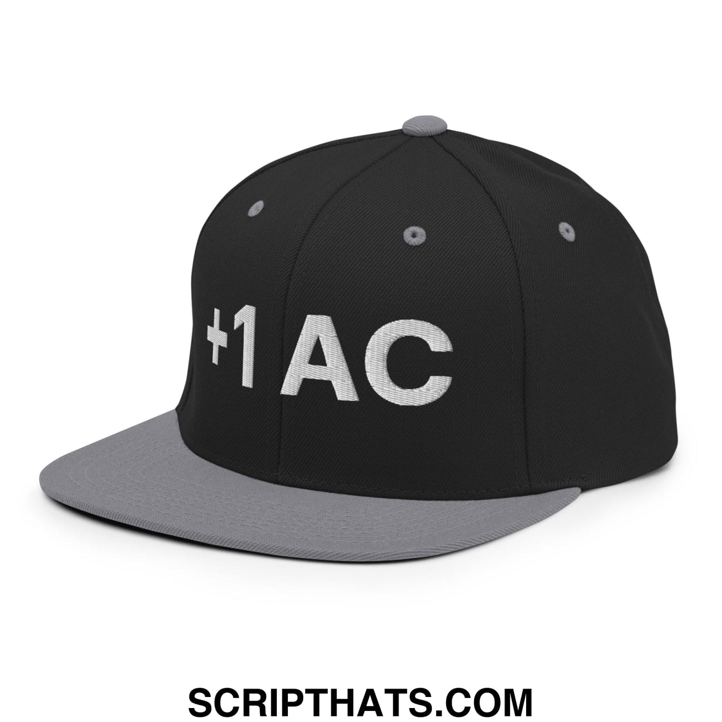 +1 AC Armor Class RPG Role Playing Game Embroidered Flat Brim Bill Snapback Hat Black Silver