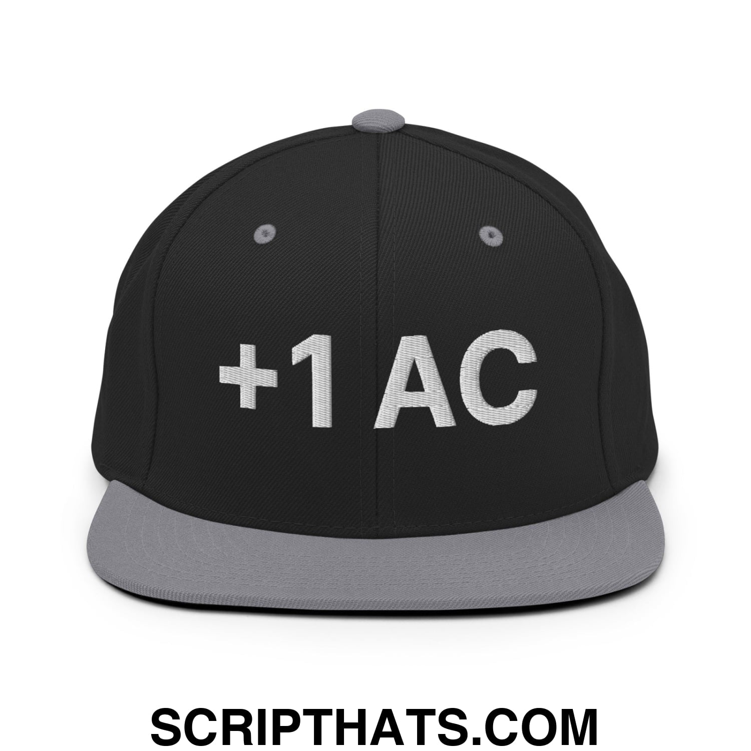 +1 AC Armor Class RPG Role Playing Game Embroidered Flat Brim Bill Snapback Hat Black Silver