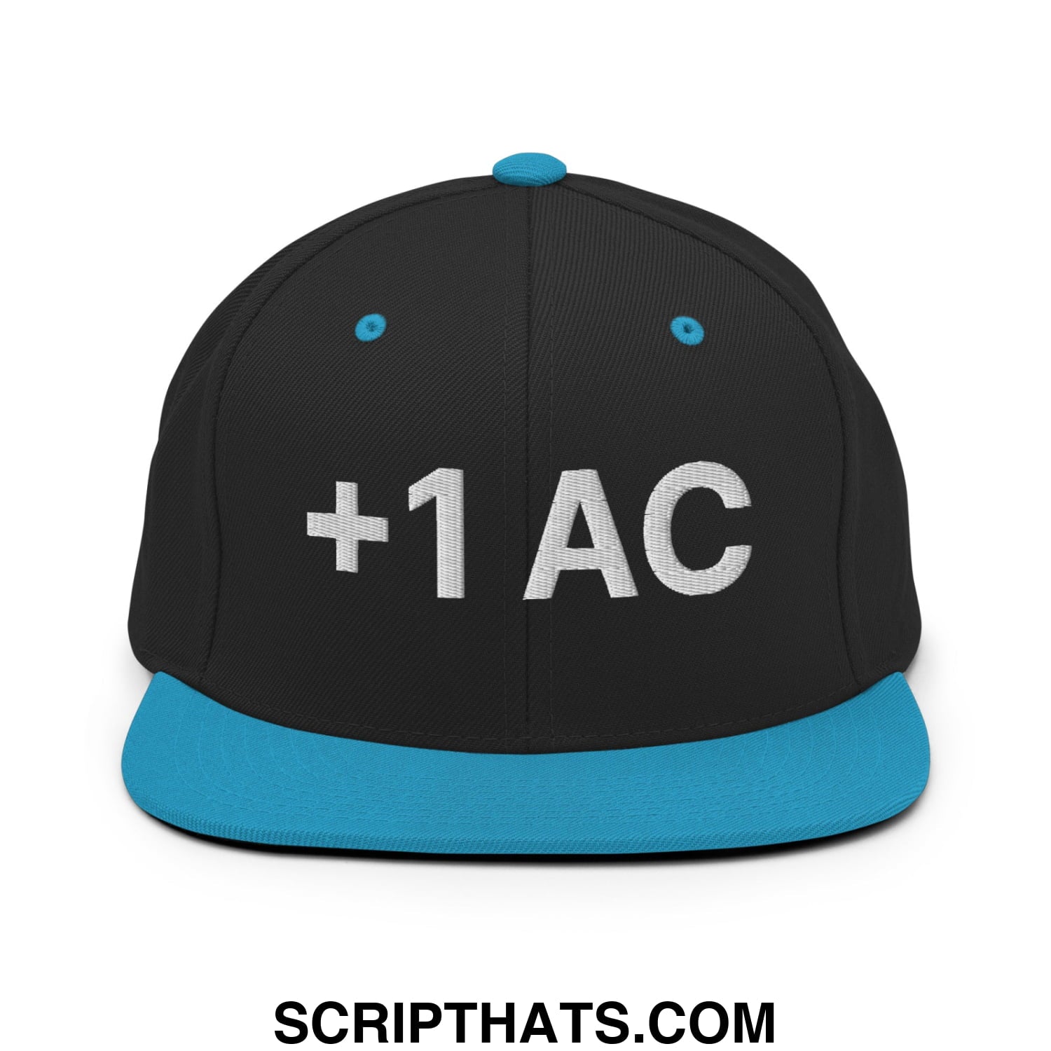 +1 AC Armor Class RPG Role Playing Game Embroidered Flat Brim Bill Snapback Hat Black Teal