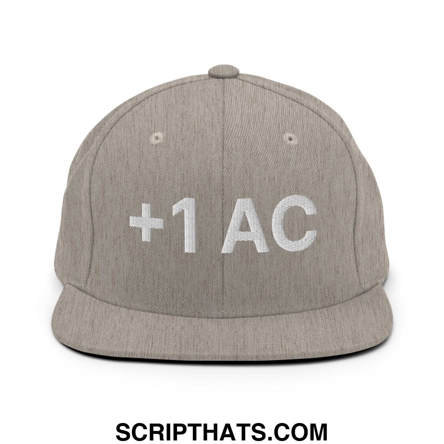 +1 AC Armor Class RPG Role Playing Game Embroidered Flat Brim Bill Snapback Hat Heather Grey