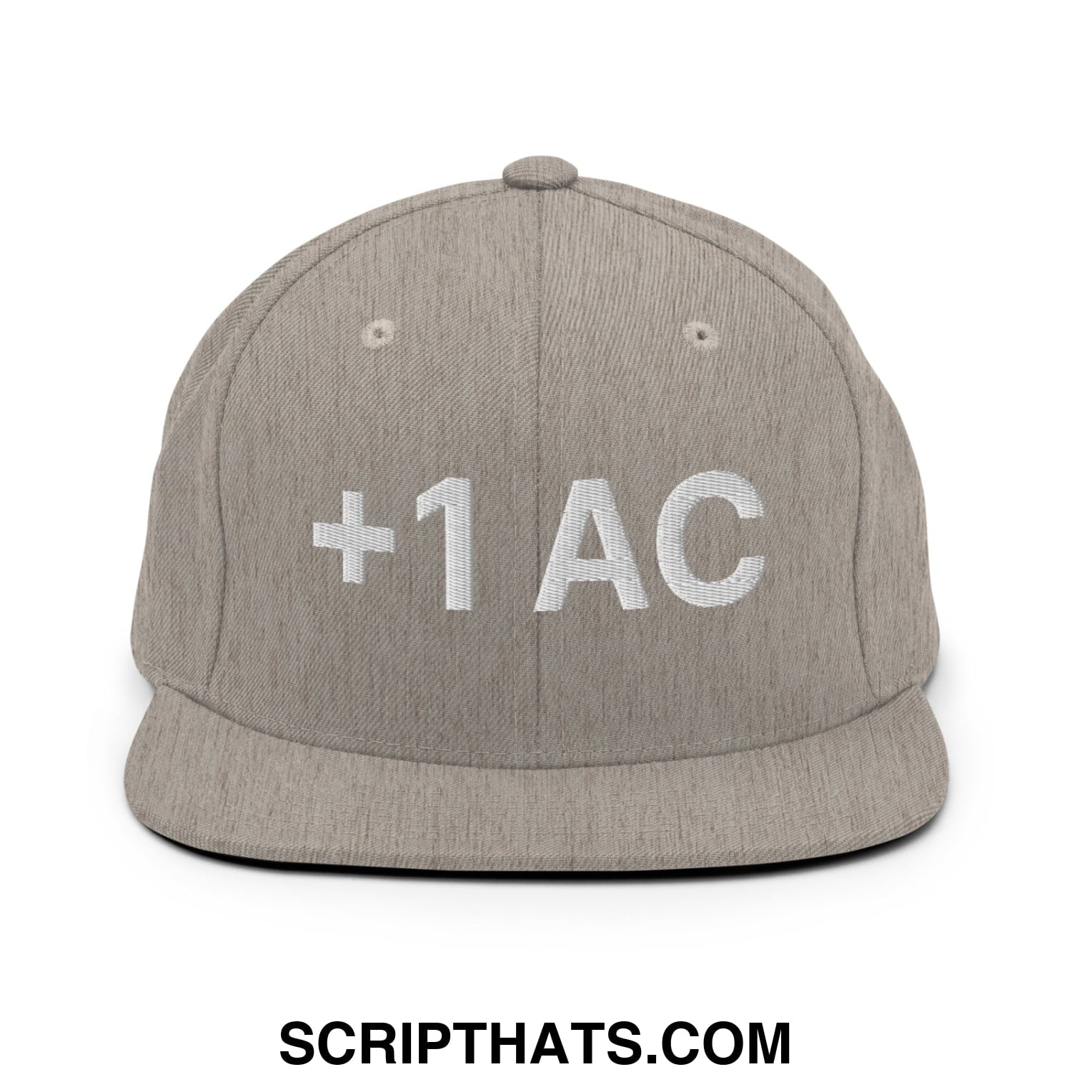 +1 AC Armor Class RPG Role Playing Game Embroidered Flat Brim Bill Snapback Hat Heather Grey