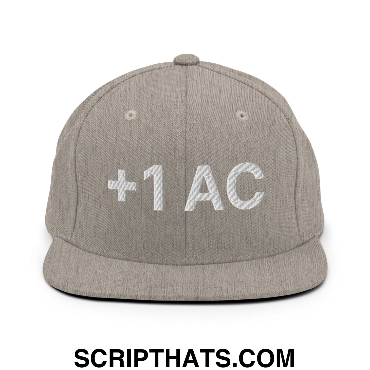 +1 AC Armor Class RPG Role Playing Game Embroidered Flat Brim Bill Snapback Hat Heather Grey