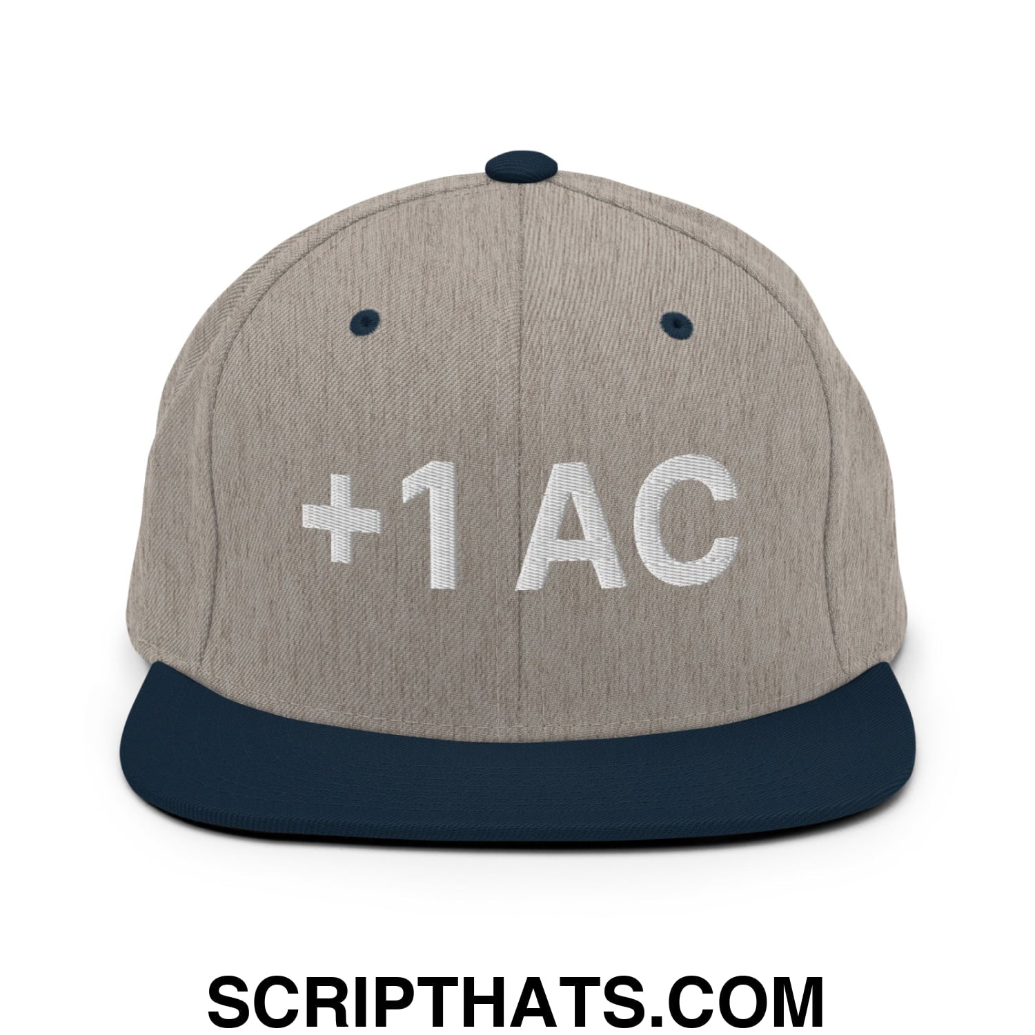 +1 AC Armor Class RPG Role Playing Game Embroidered Flat Brim Bill Snapback Hat Heather Grey Navy