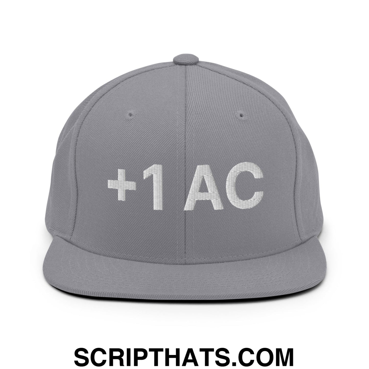 +1 AC Armor Class RPG Role Playing Game Embroidered Flat Brim Bill Snapback Hat Silver