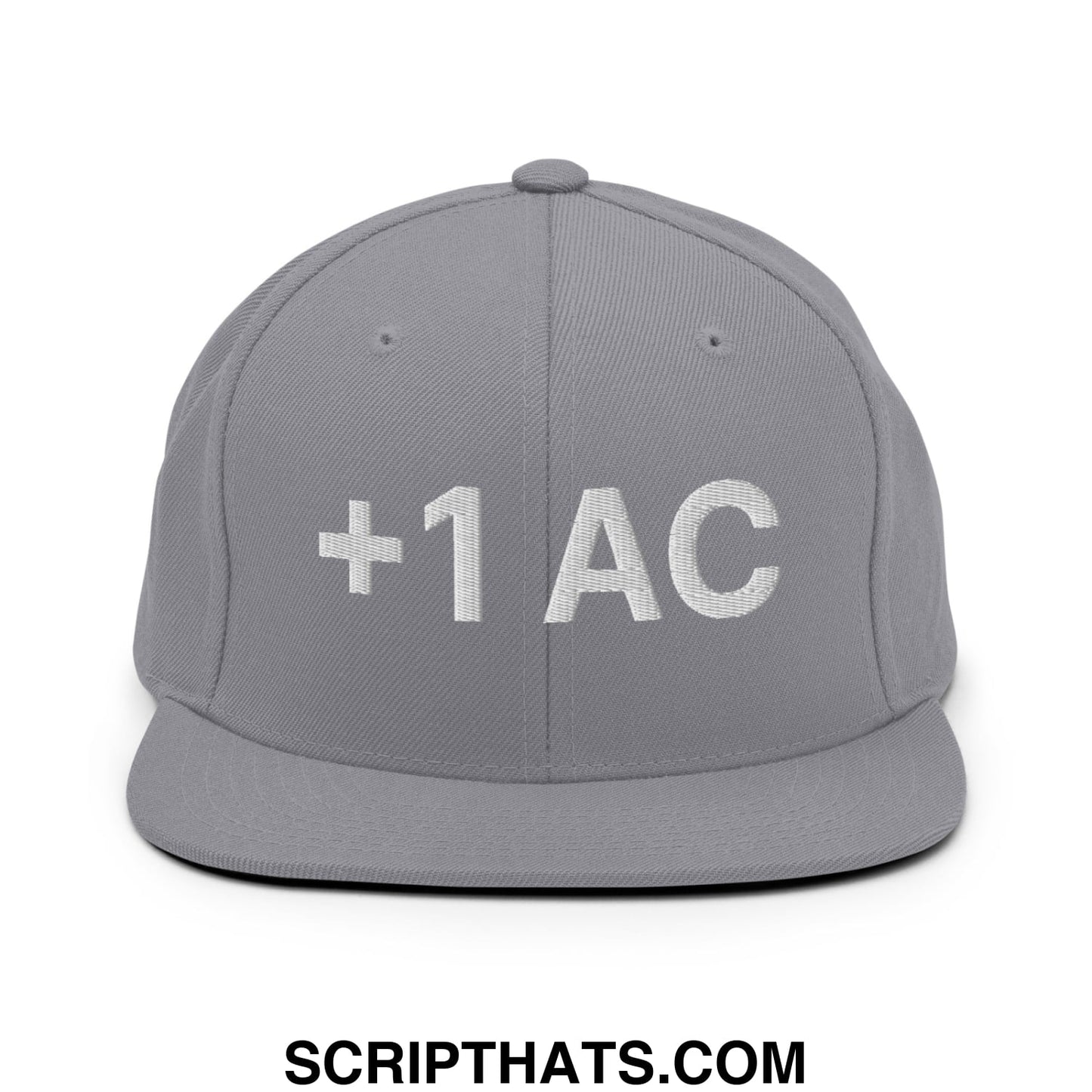 +1 AC Armor Class RPG Role Playing Game Embroidered Flat Brim Bill Snapback Hat Silver