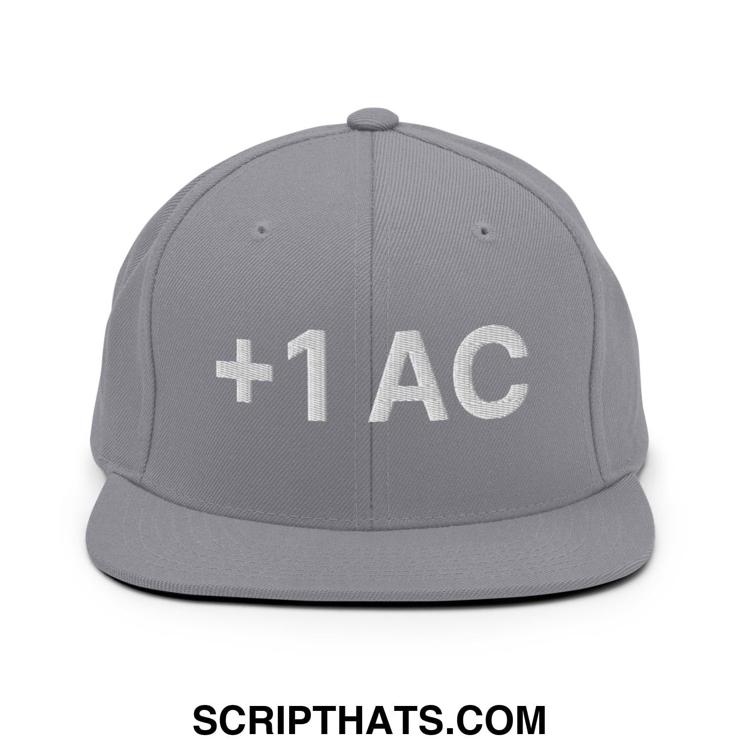 +1 AC Armor Class RPG Role Playing Game Embroidered Flat Brim Bill Snapback Hat Silver
