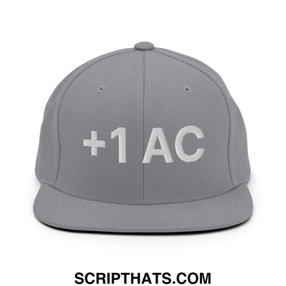 +1 AC Armor Class RPG Role Playing Game Embroidered Flat Brim Bill Snapback Hat Silver