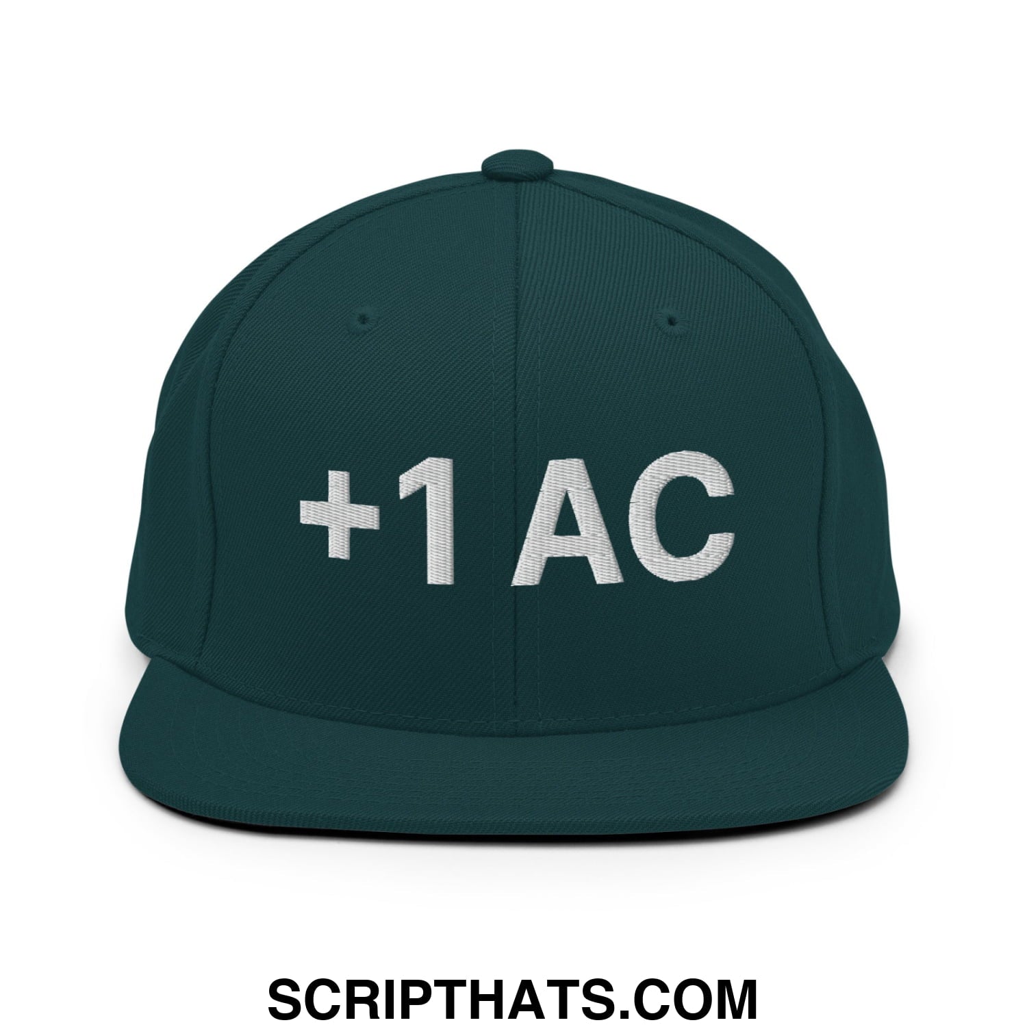 +1 AC Armor Class RPG Role Playing Game Embroidered Flat Brim Bill Snapback Hat Spruce