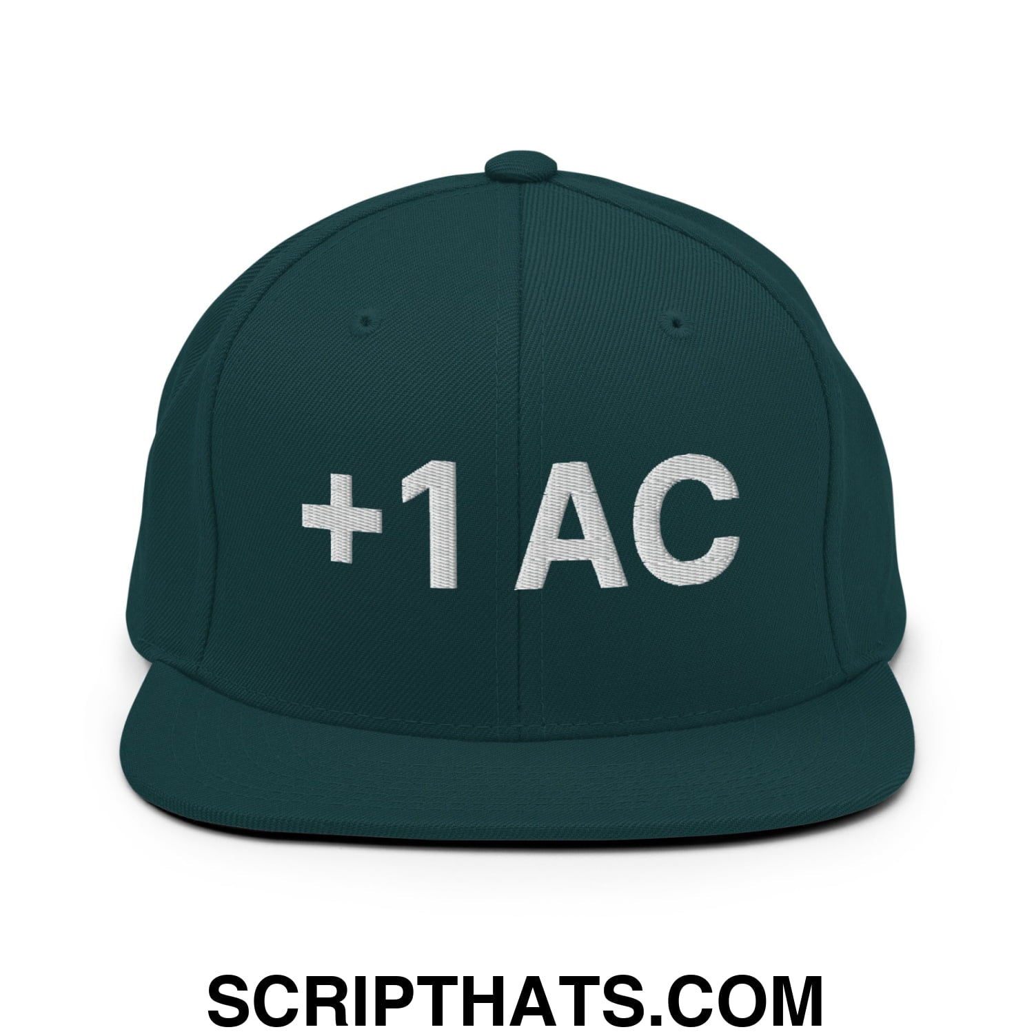 +1 AC Armor Class RPG Role Playing Game Embroidered Flat Brim Bill Snapback Hat Spruce