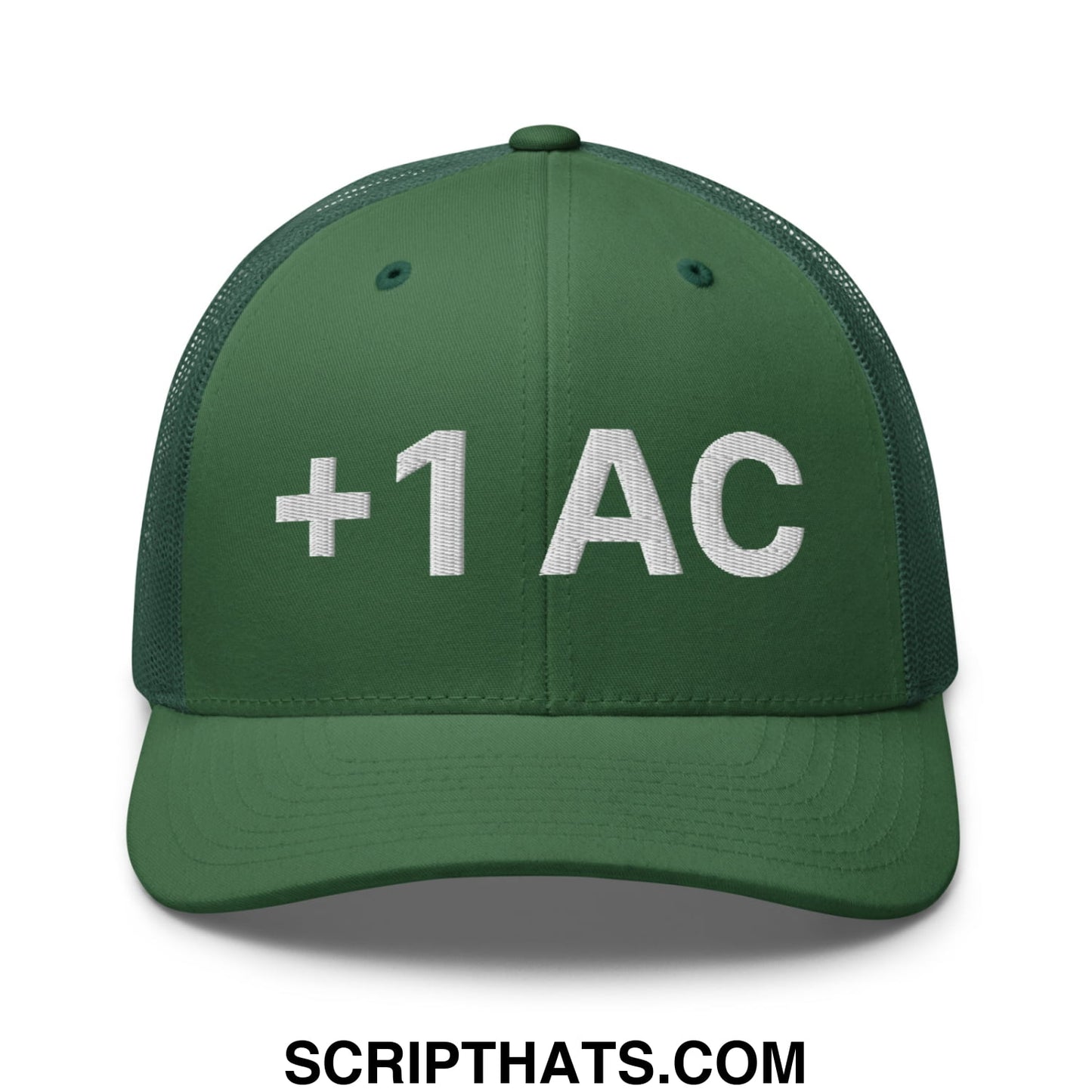 +1 AC Armor Class RPG Role Playing Game Embroidered Mesh Trucker Hat Evergreen