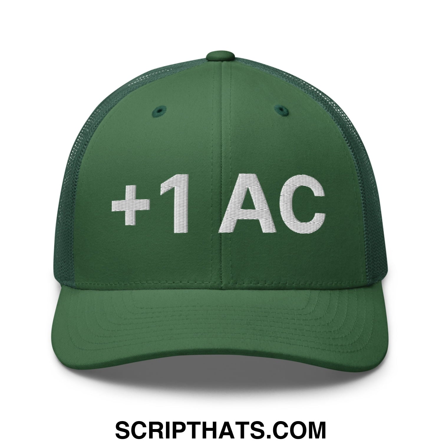 +1 AC Armor Class RPG Role Playing Game Embroidered Mesh Trucker Hat Evergreen