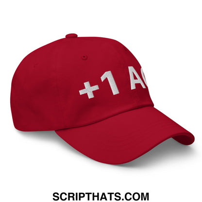 +1 AC Armor Class RPG Role Playing Game Embroidered Unstructured Dad Hat Cranberry
