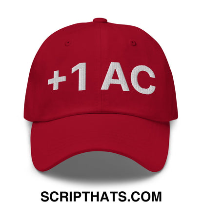 +1 AC Armor Class RPG Role Playing Game Embroidered Unstructured Dad Hat Cranberry