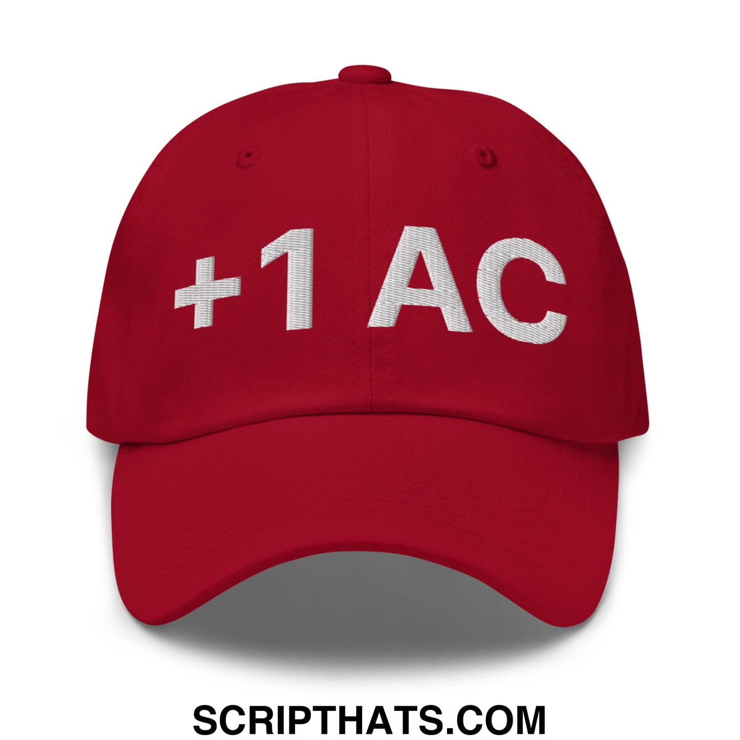 +1 AC Armor Class RPG Role Playing Game Embroidered Unstructured Dad Hat Cranberry