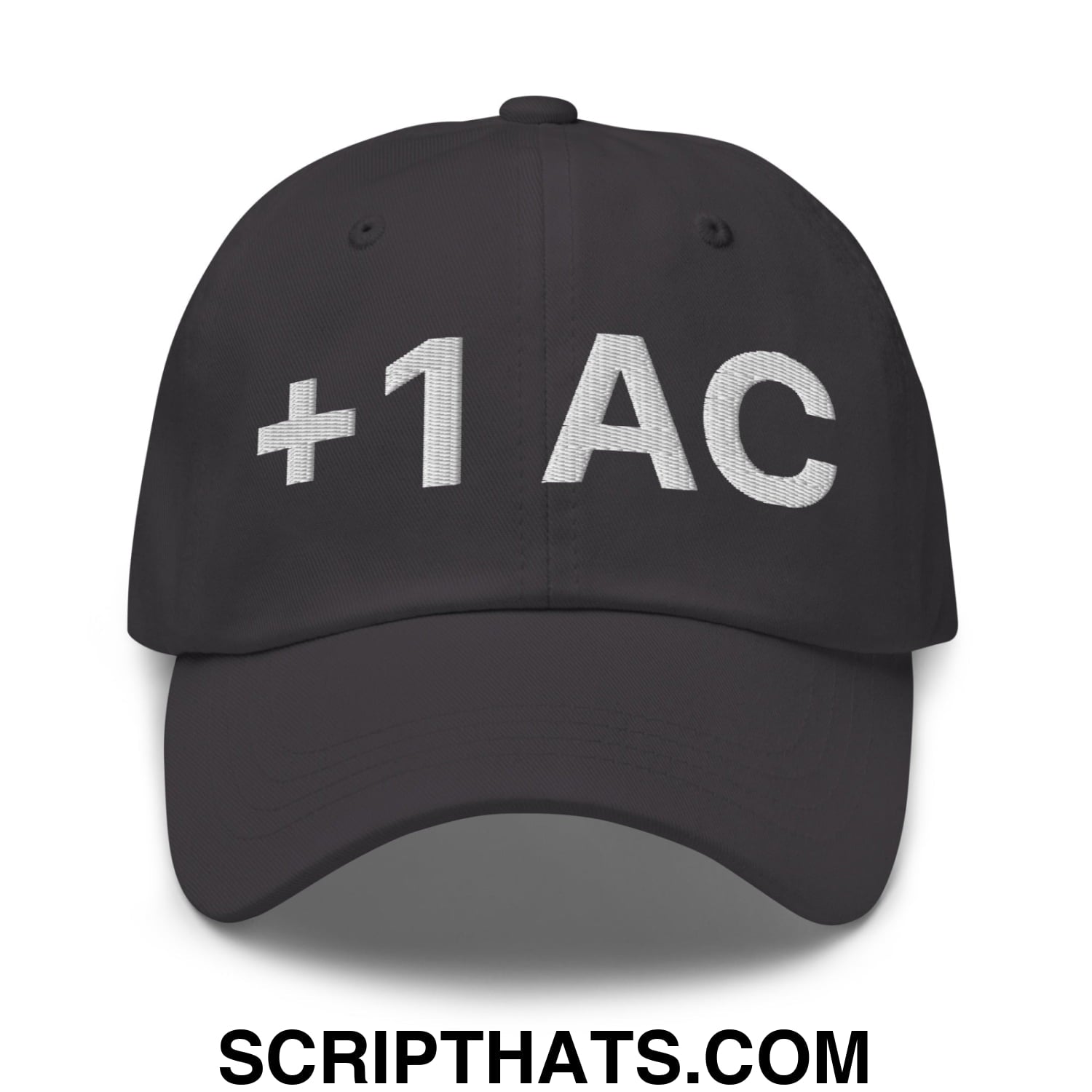 +1 AC Armor Class RPG Role Playing Game Embroidered Unstructured Dad Hat Dark Grey