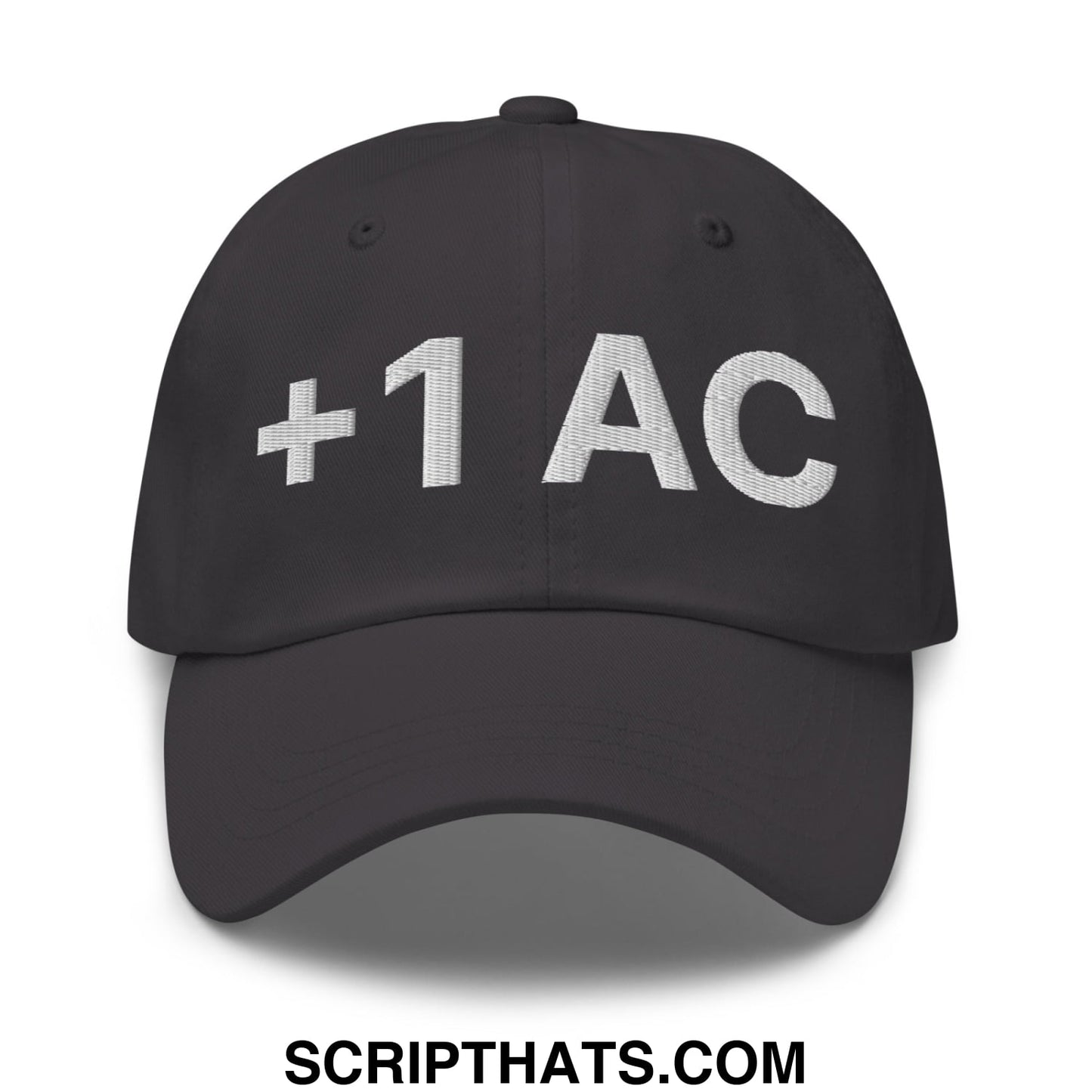 +1 AC Armor Class RPG Role Playing Game Embroidered Unstructured Dad Hat Dark Grey