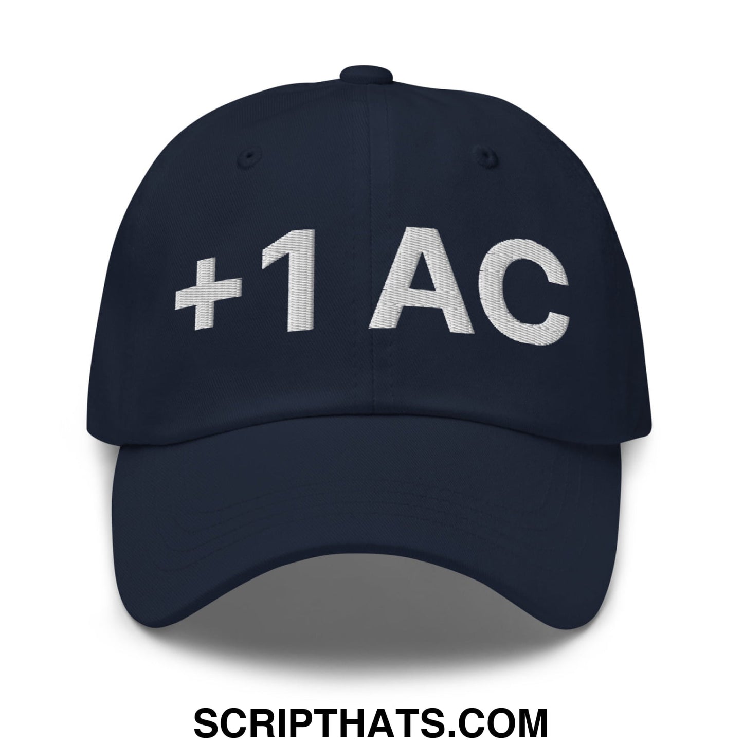 +1 AC Armor Class RPG Role Playing Game Embroidered Unstructured Dad Hat Navy