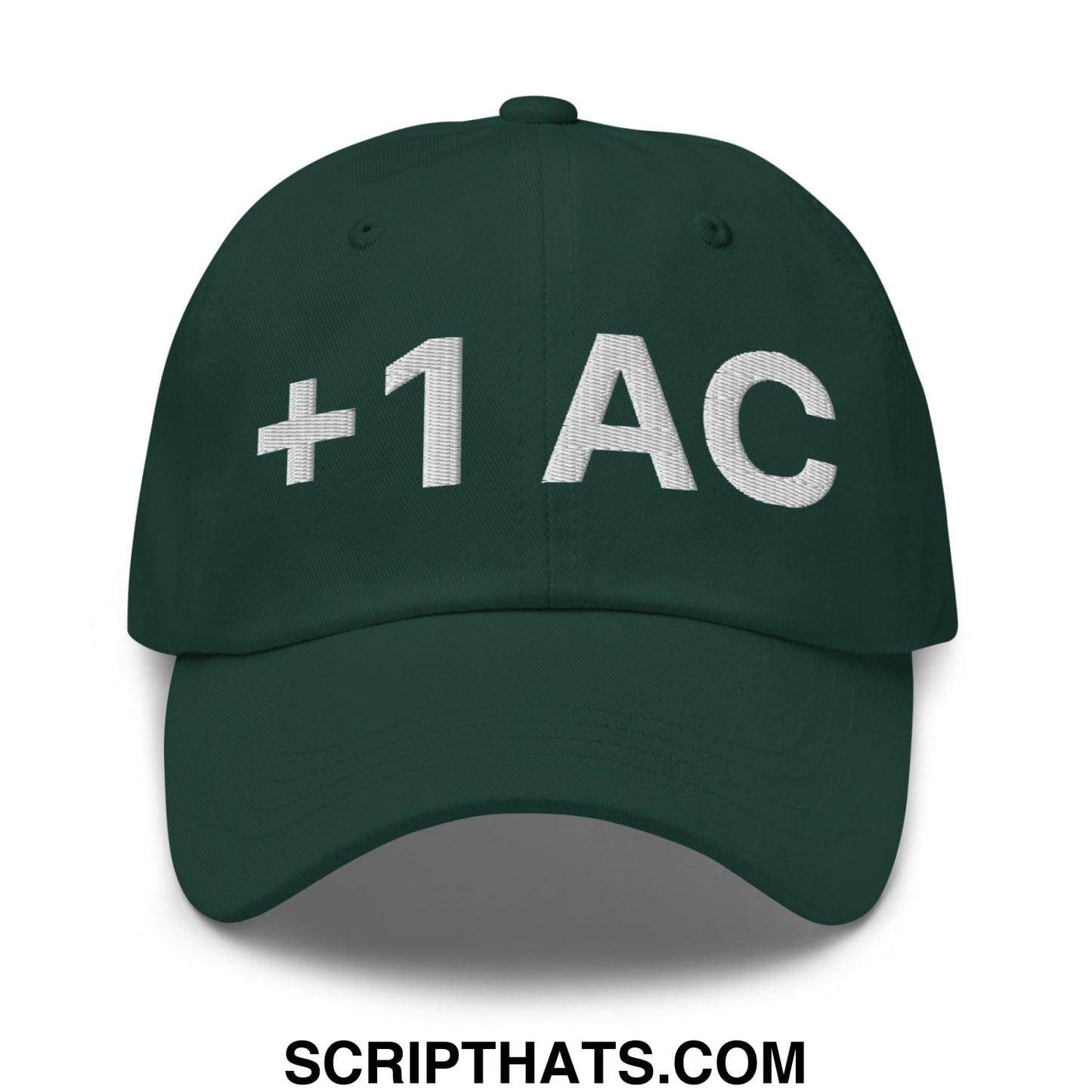 +1 AC Armor Class RPG Role Playing Game Embroidered Unstructured Dad Hat Spruce