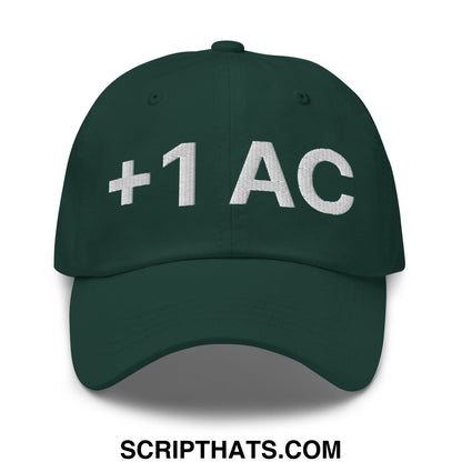 +1 AC Armor Class RPG Role Playing Game Embroidered Unstructured Dad Hat Spruce