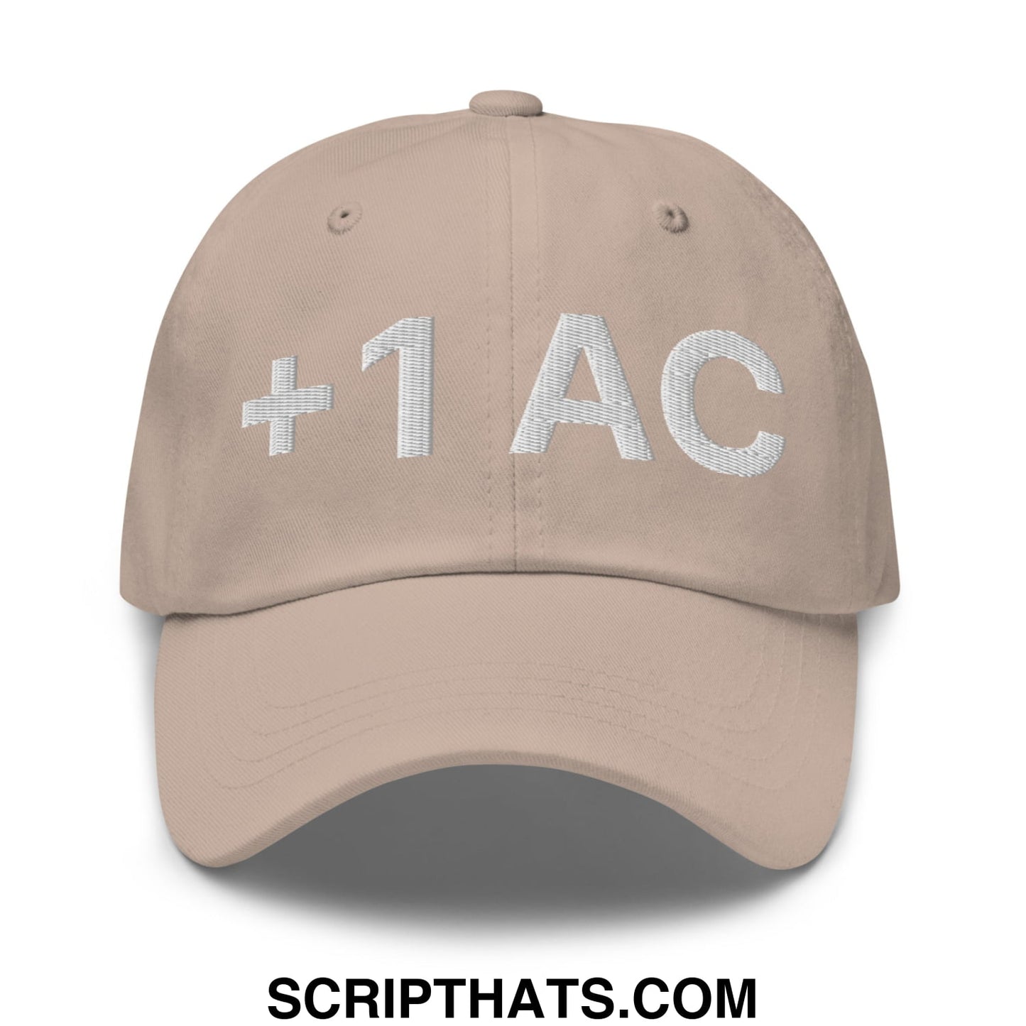 +1 AC Armor Class RPG Role Playing Game Embroidered Unstructured Dad Hat Stone