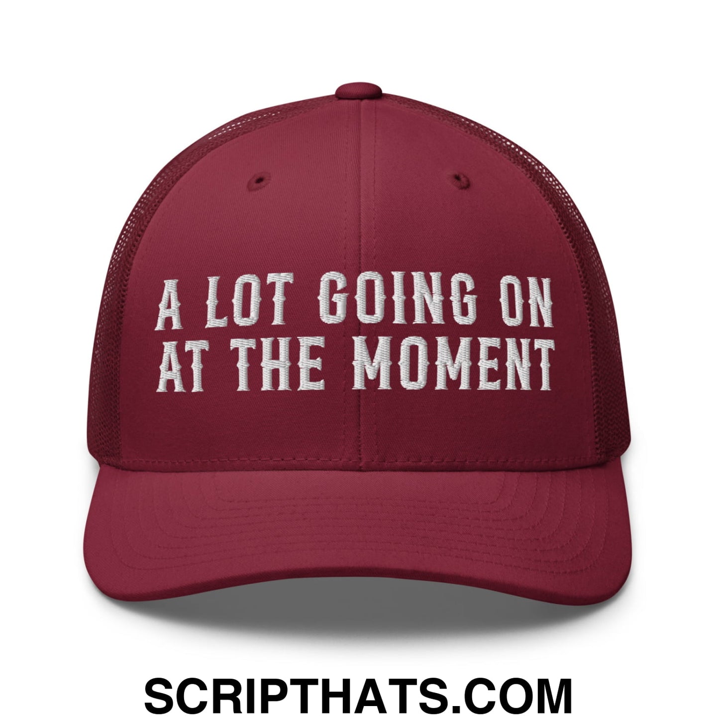 A Lot Going On At The Moment Embroidered Mesh Trucker Hat Cranberry