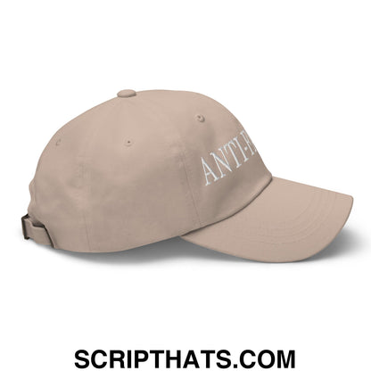 Anti-Fascist Embroidered Unstructured Dad Hat Stone