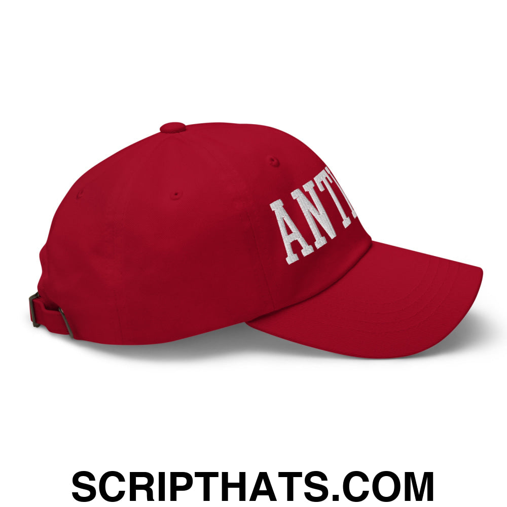 Anti-ICE Embroidered Unstructured Dad Hat Cranberry