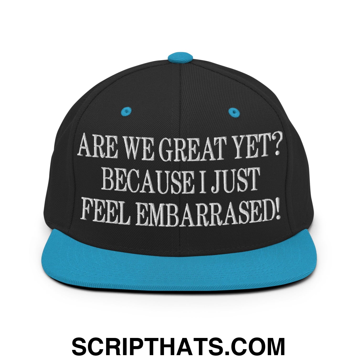 Are We Great Yet? Because I Just Feel Embarrassed! Embroidered Flat Bill Brim Snapback Hat Black Teal
