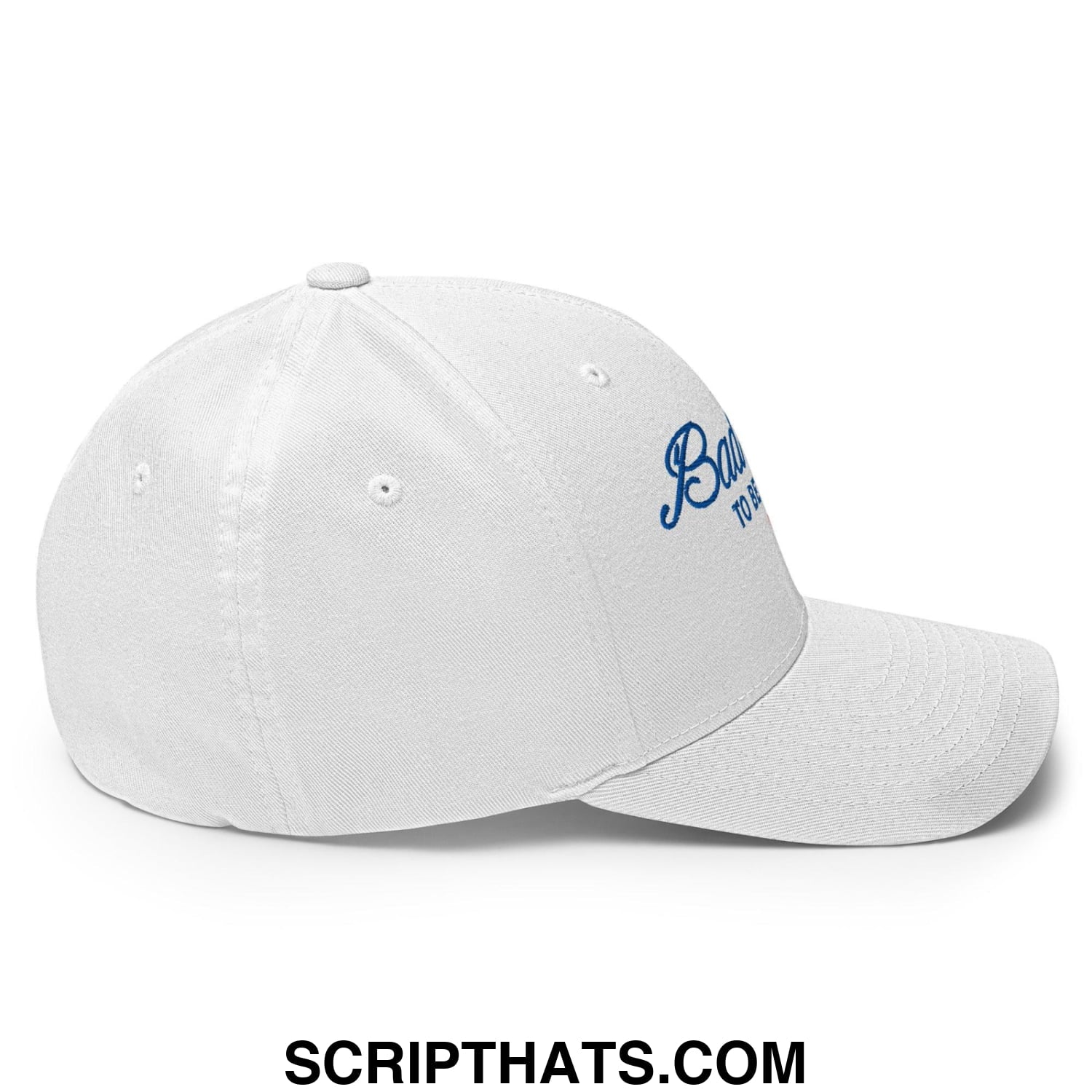 Bad Day to be a Beer Embroidered Stretch Fit Baseball Hat