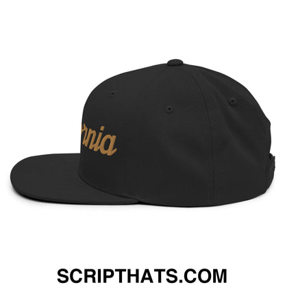 Baja California Sur Mexico Gold Vintage Sports Script Snapback Hat Black