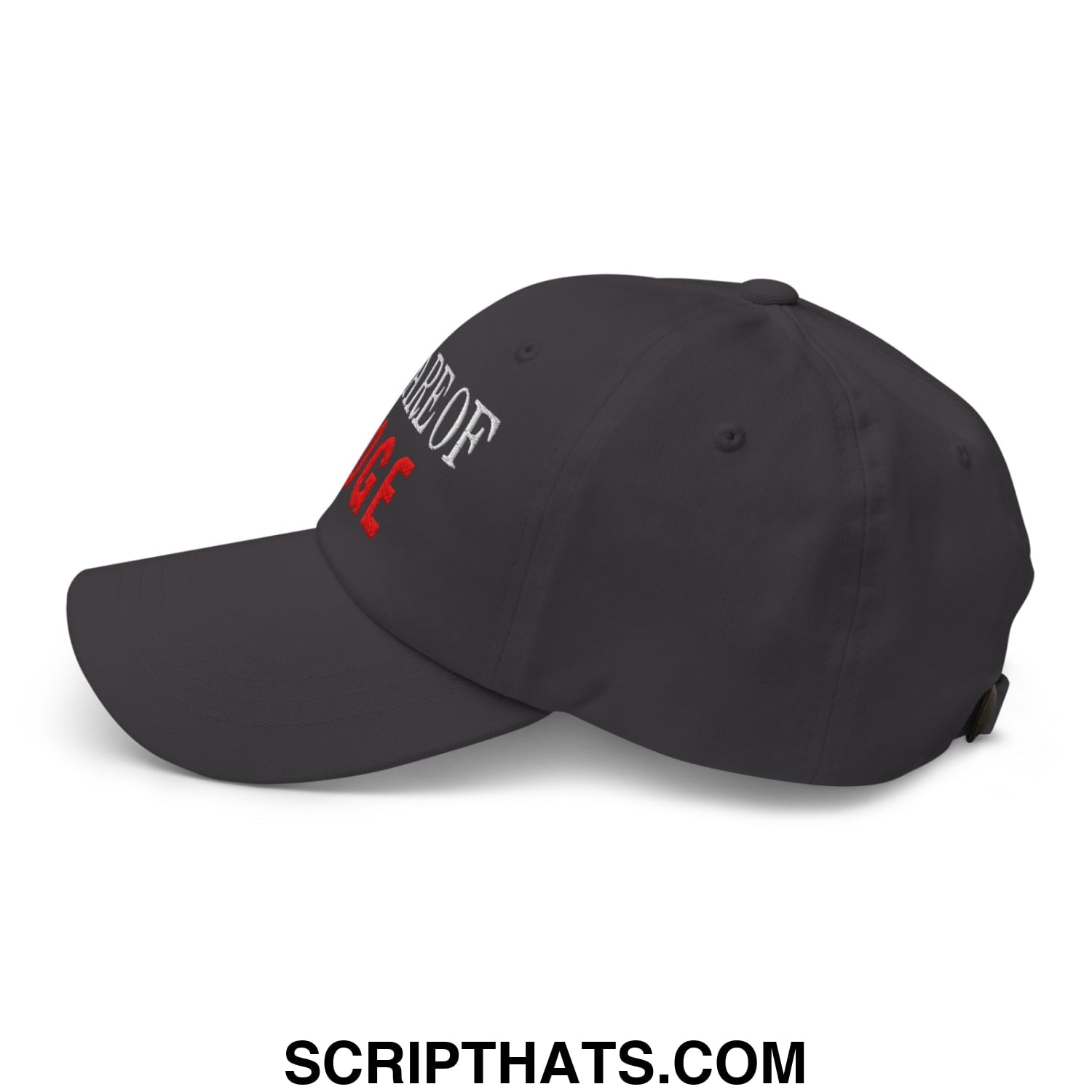 Beware of DOGE Embroidered Unstructured Dad Hat Dark Grey