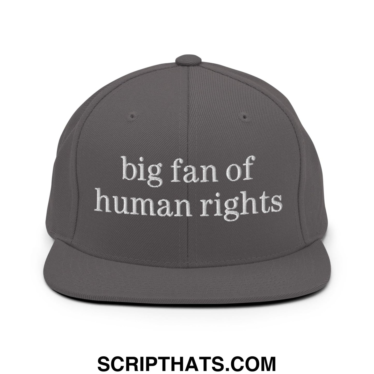 Gray flat bill snapback hat with white embroidered text big fan of human rights promoting equality and justice
