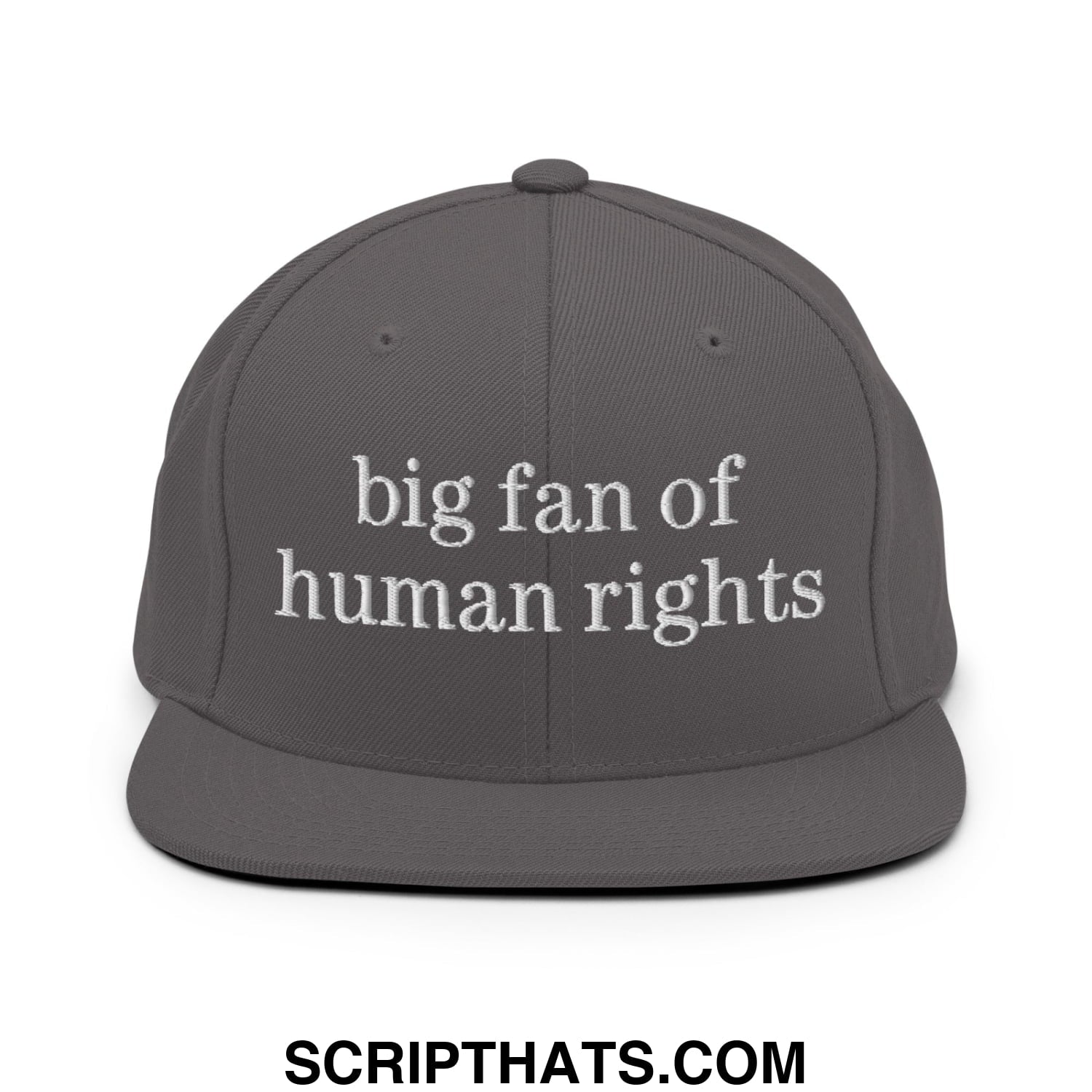Gray flat bill snapback hat with white embroidered text big fan of human rights promoting equality and justice