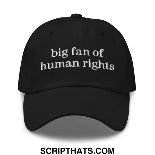 Big Fan of Human Rights Embroidered Unstructured Dad Hat Black