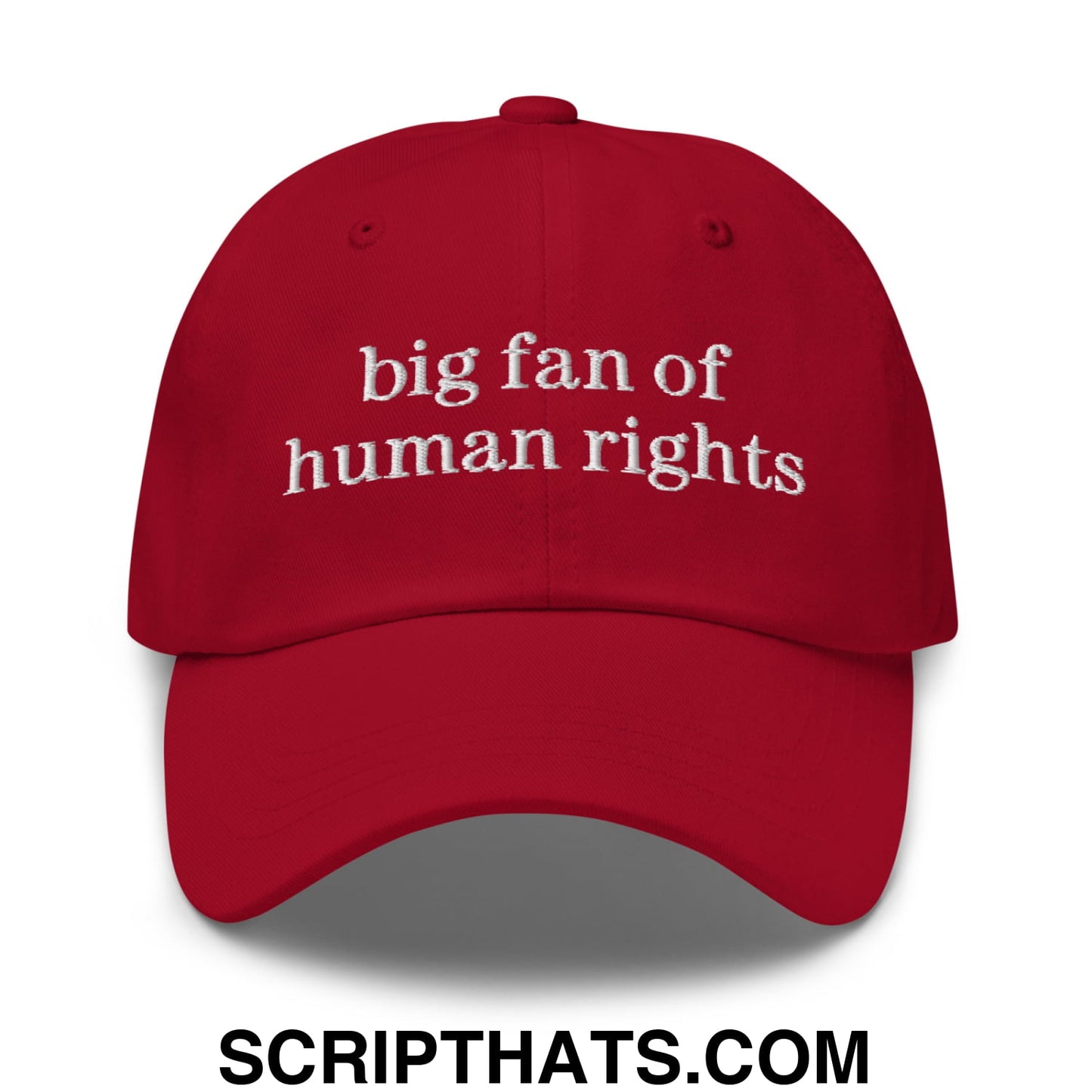 Big Fan of Human Rights Embroidered Unstructured Dad Hat Cranberry