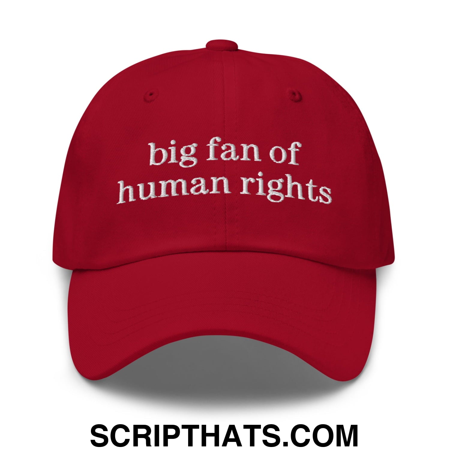 Big Fan of Human Rights Embroidered Unstructured Dad Hat Cranberry