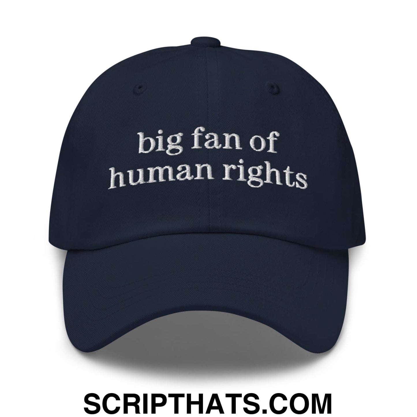 Big Fan of Human Rights Embroidered Unstructured Dad Hat Navy