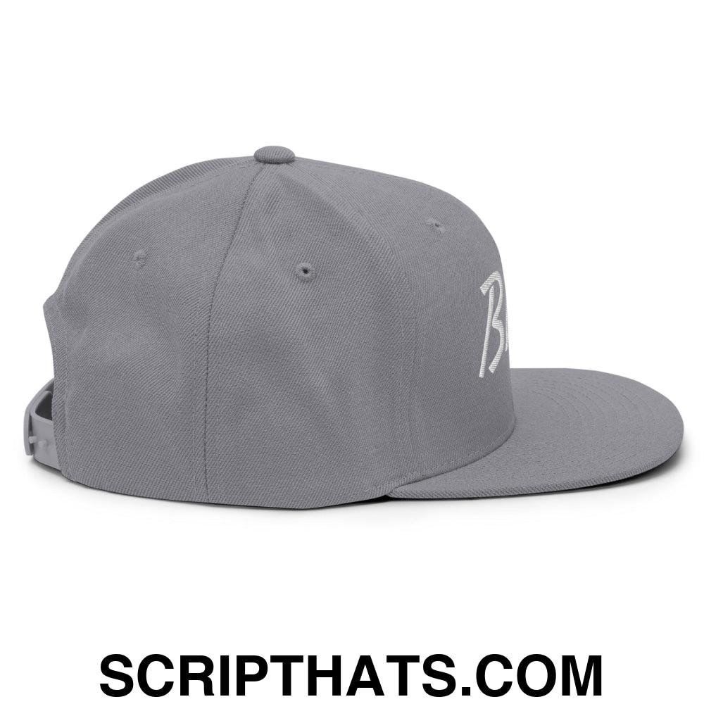 Birds Vintage Sports Script Embroidered Flat Bill Brim Snapback Hat Silver
