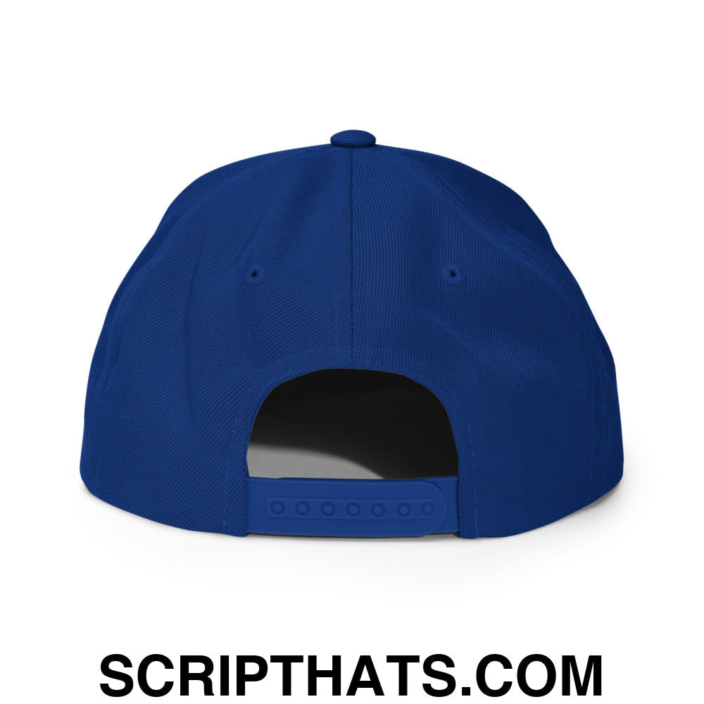 Birds Vintage Sports Script Embroidered Flat Bill Brim Snapback Hat Royal Blue