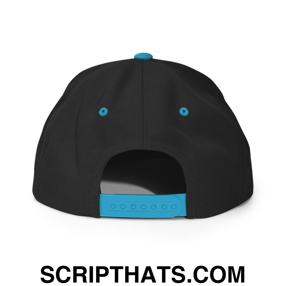 Birds Vintage Sports Script Embroidered Flat Bill Brim Snapback Hat Black Teal