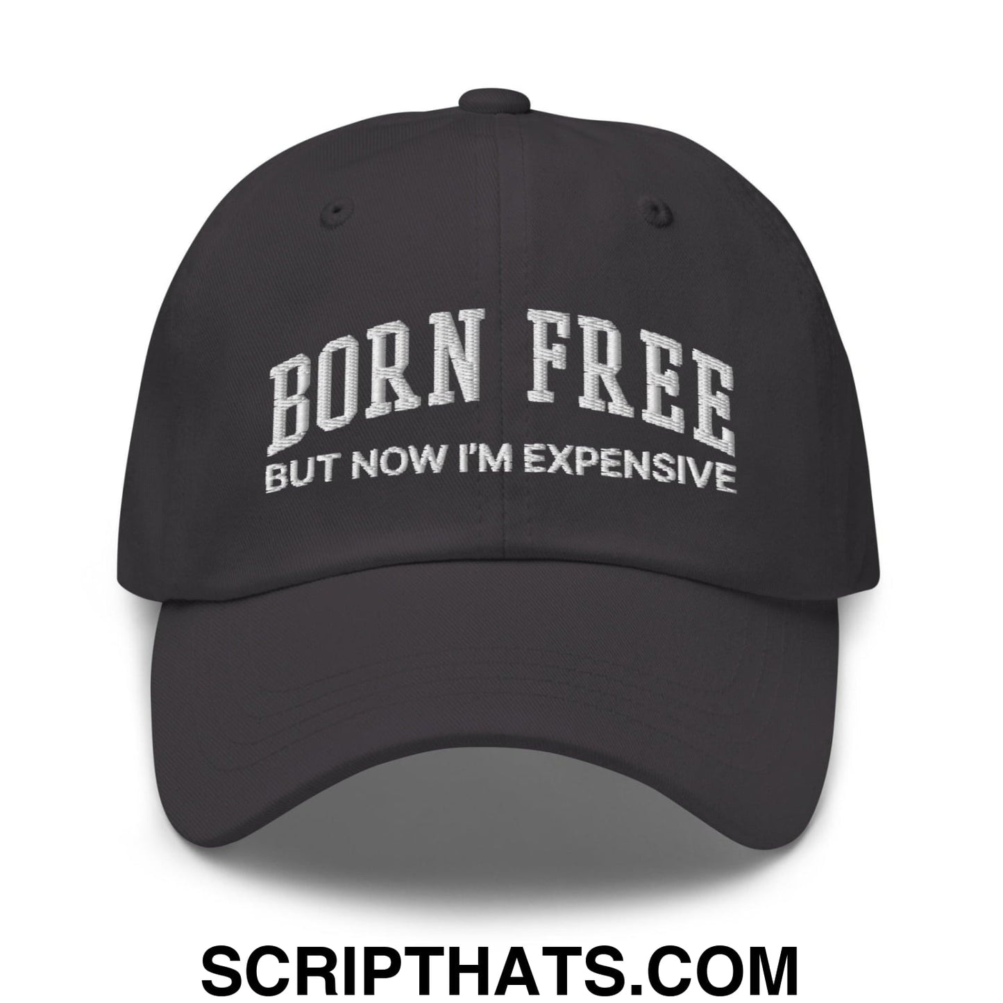 Born Free But Now I'm Expensive Dad Hat Dark Grey