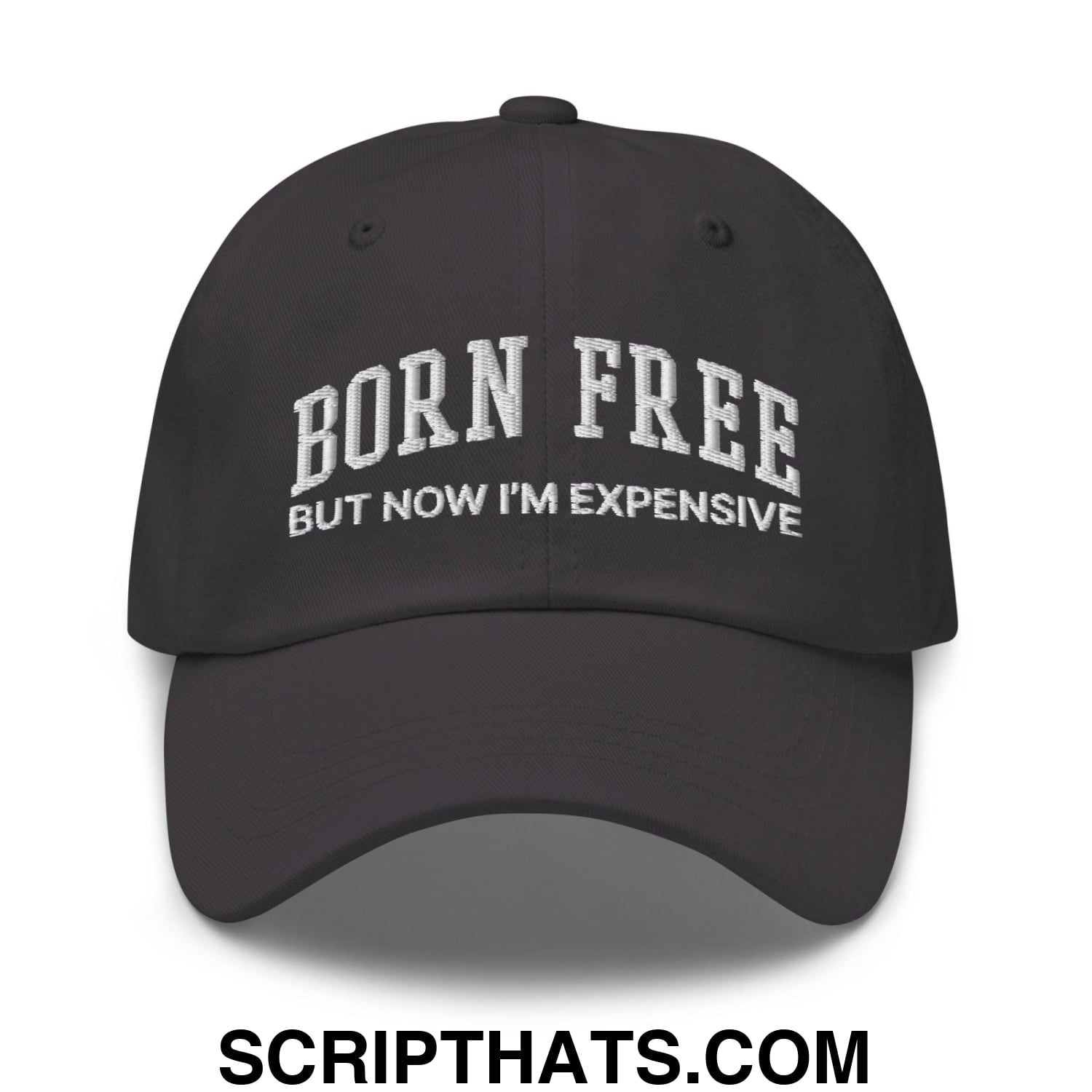 Born Free But Now I'm Expensive Dad Hat Dark Grey