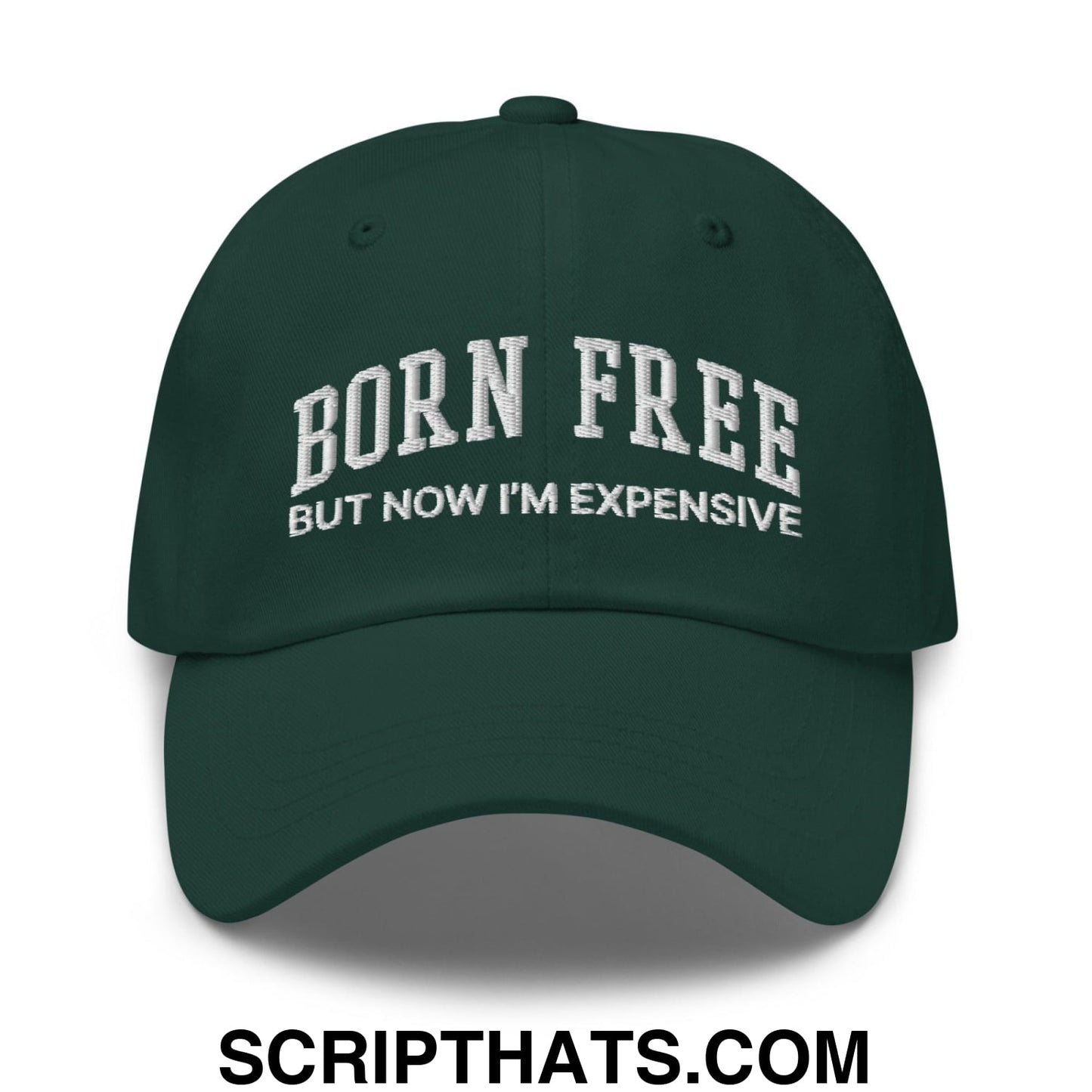 Born Free But Now I'm Expensive Dad Hat Spruce