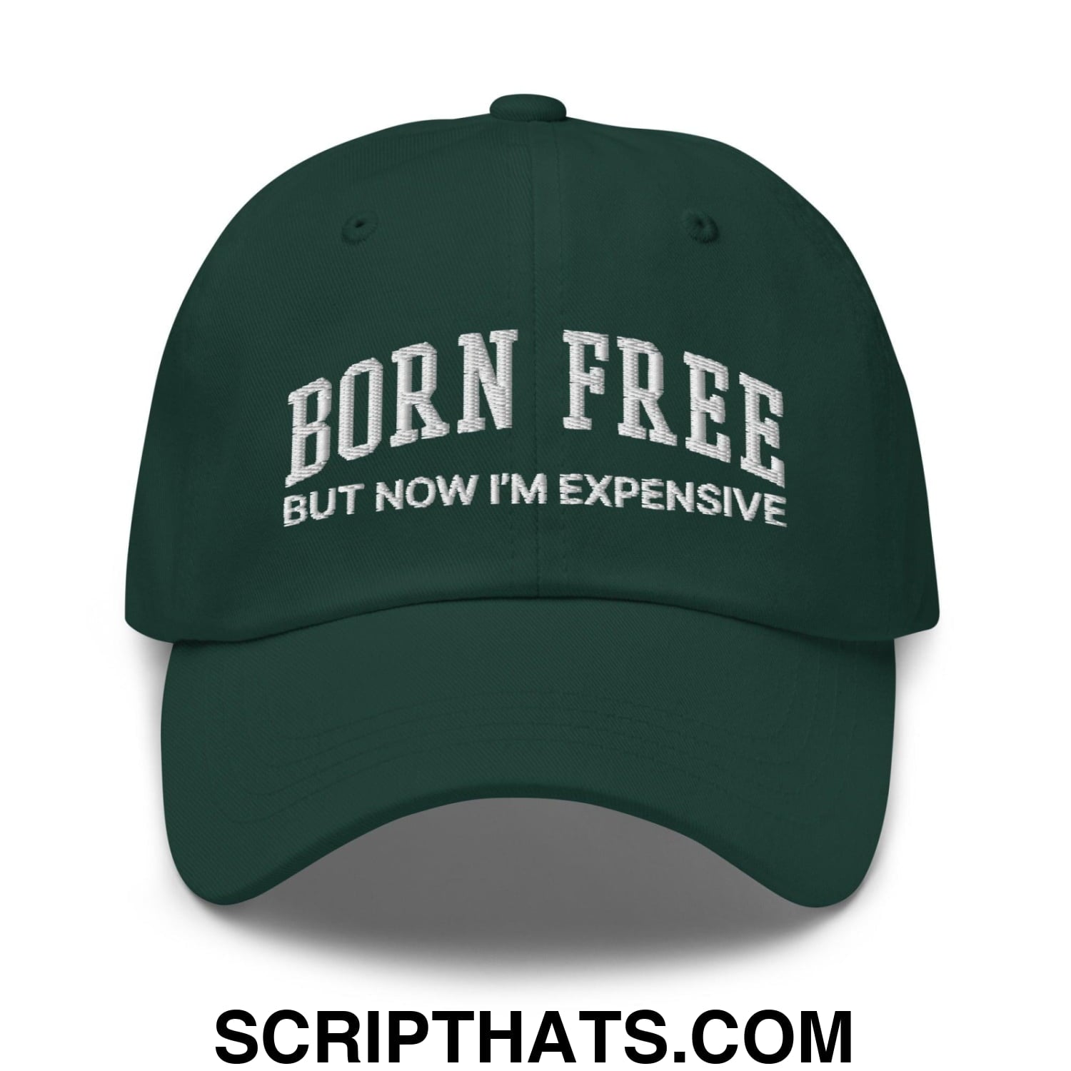 Born Free But Now I'm Expensive Dad Hat Spruce