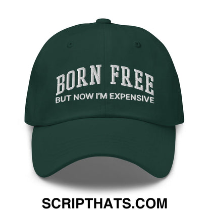 Born Free But Now I'm Expensive Dad Hat Spruce