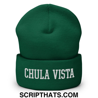 Chula Vista Varsity College Block Embroidered Knit Cuffed Beanie Spruce