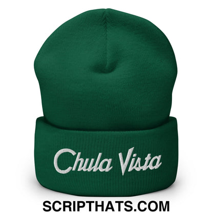 Chula Vista Vintage Sports Script Embroidered Knit Cuffed Beanie Spruce