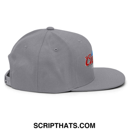 Gray snapback hat with red and blue embroidered curves right script logo on the side and flat bill brim