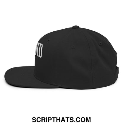 Black snapback hat with white embroidered defund ICE lettering on the side and flat bill brim design