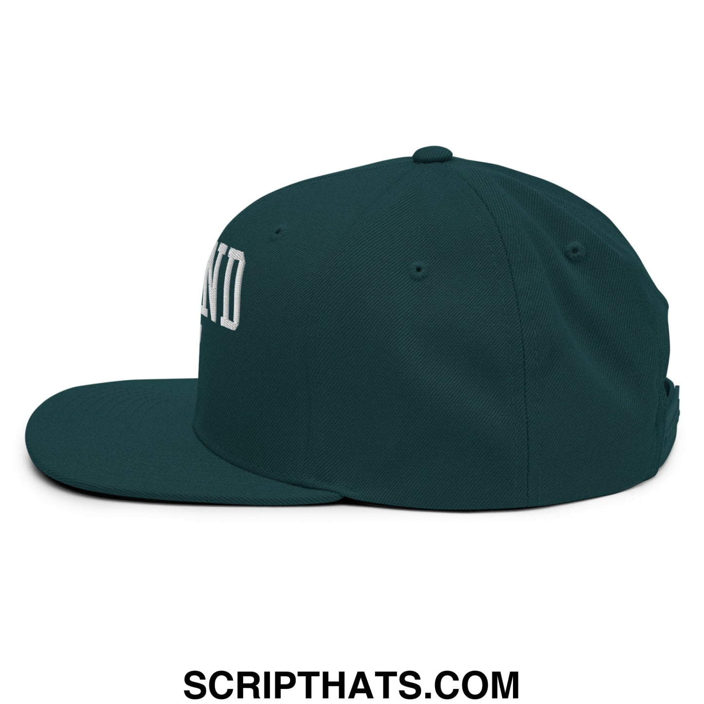 Dark green defund ice snapback hat with white embroidered lettering and flat bill brim, side view